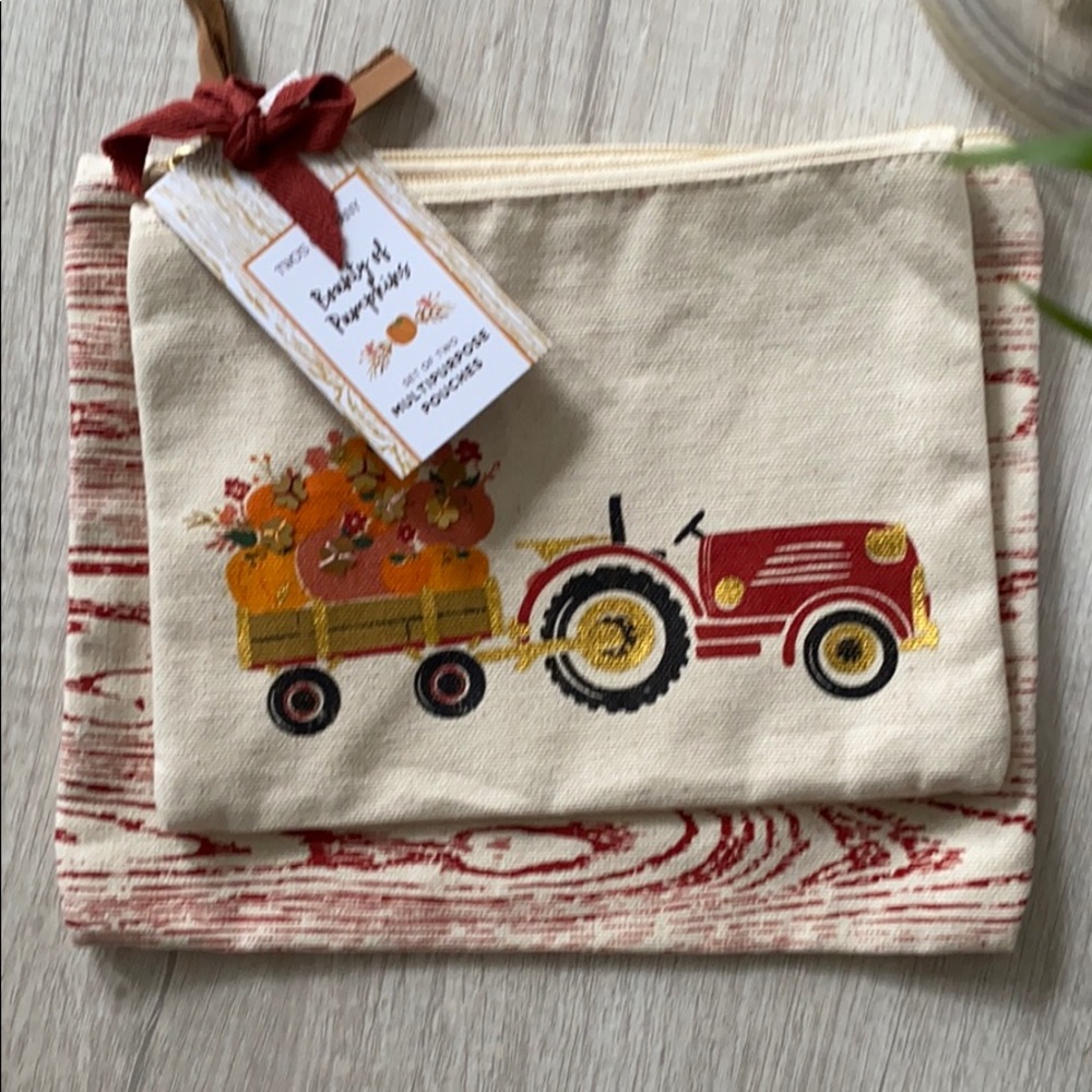 Set of Two Multipurpose Pouches